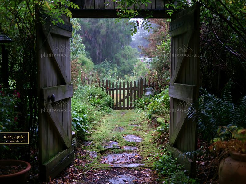 Rainy day view from a timber cottage with an open gate