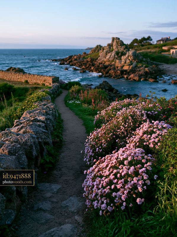 Coastline with rocky peninsula under evening light