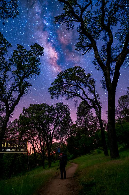 Person capturing Milky Way beside a forest trail during nighttime