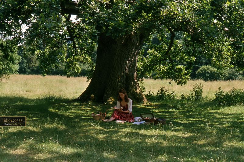 Sketching in a meadow under a large tree in summer