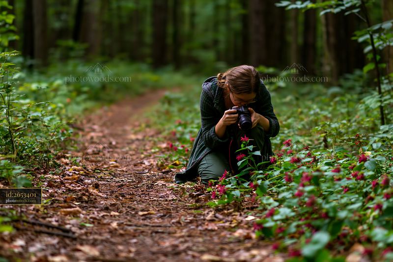 Macro photographer photographing a flower in a wooded area
