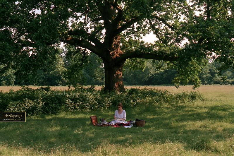 Sketching in a meadow under a large tree with a picnic setup
