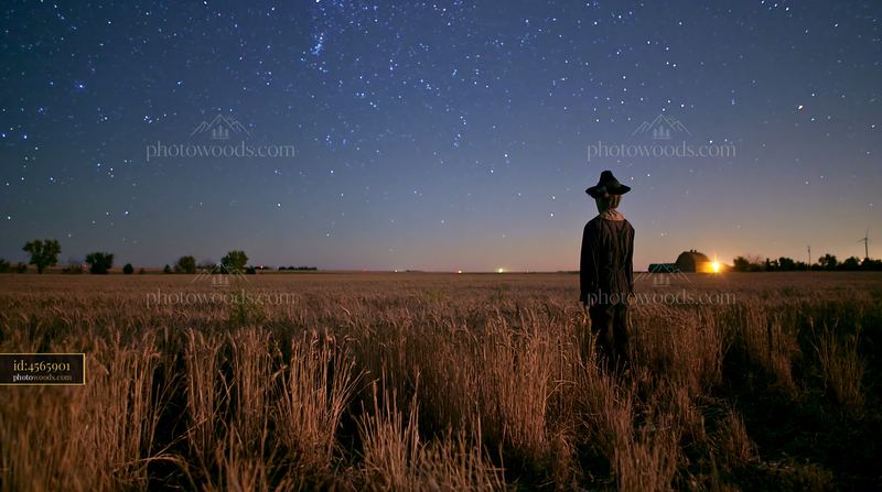 Starry night over a wheat field with a silhouette