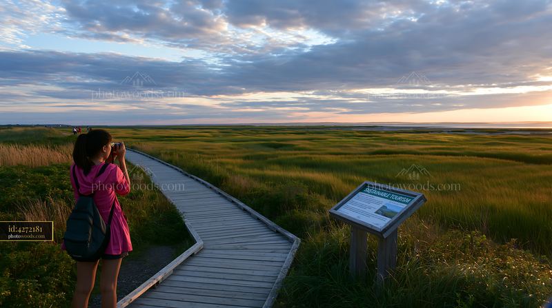 Coastline with sustainable tourism sign at sunset