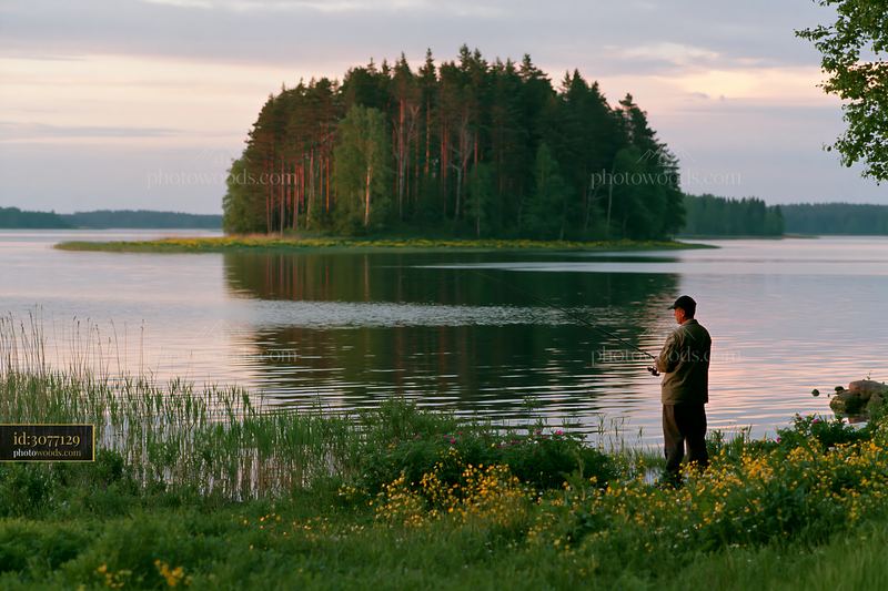 Fishing by an island covered with buttercups at sunset