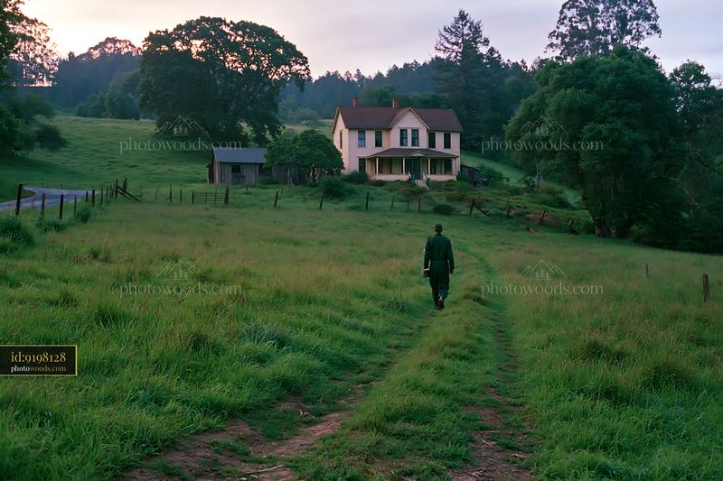 Meadow beside a rural road with a home and walking path