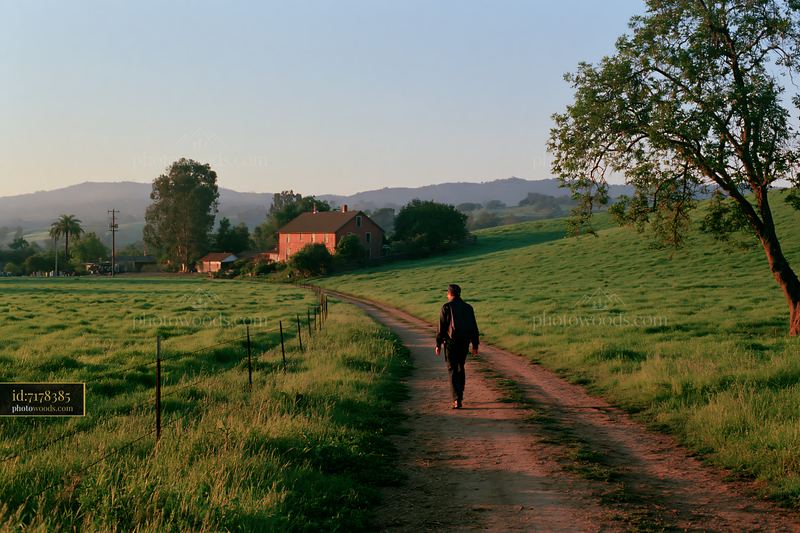 Walker on a dirt road beside a meadow in a rural setting