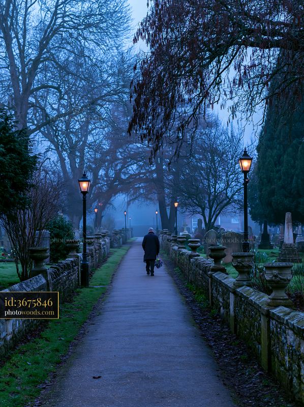 Quiet cemetery path with person walking their dog in morning fog