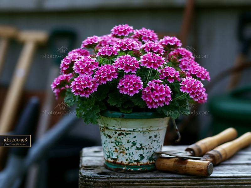 Flowers in a pot placed on a wooden table in a garden setting