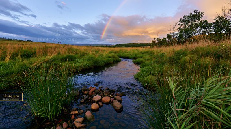 Meadow beneath a rainbow with water stream and green grasses