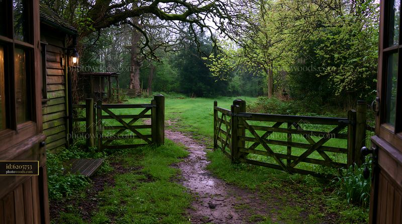 Rainy day view from a timber cottage overlooking a green field