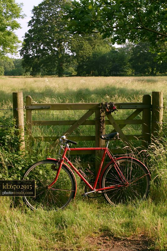 Bicycle by a wooden gate in a meadow with tall grass