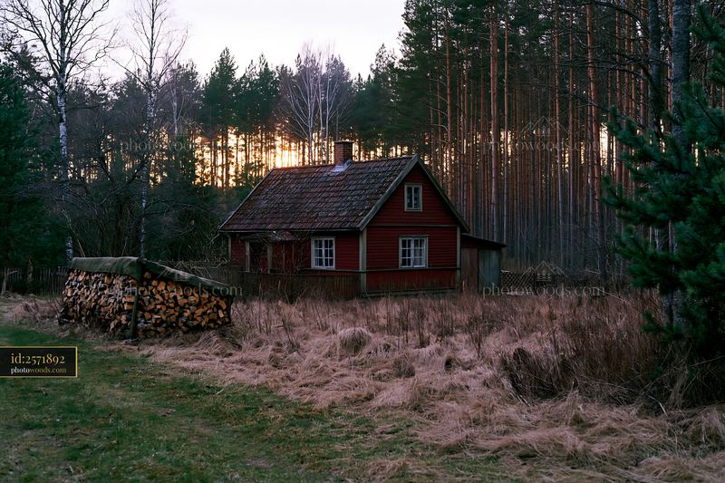 Rural cottage with firewood stack near a forest at sunset