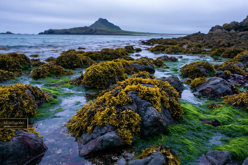 Coastline with island offshore surrounded by rocky shore