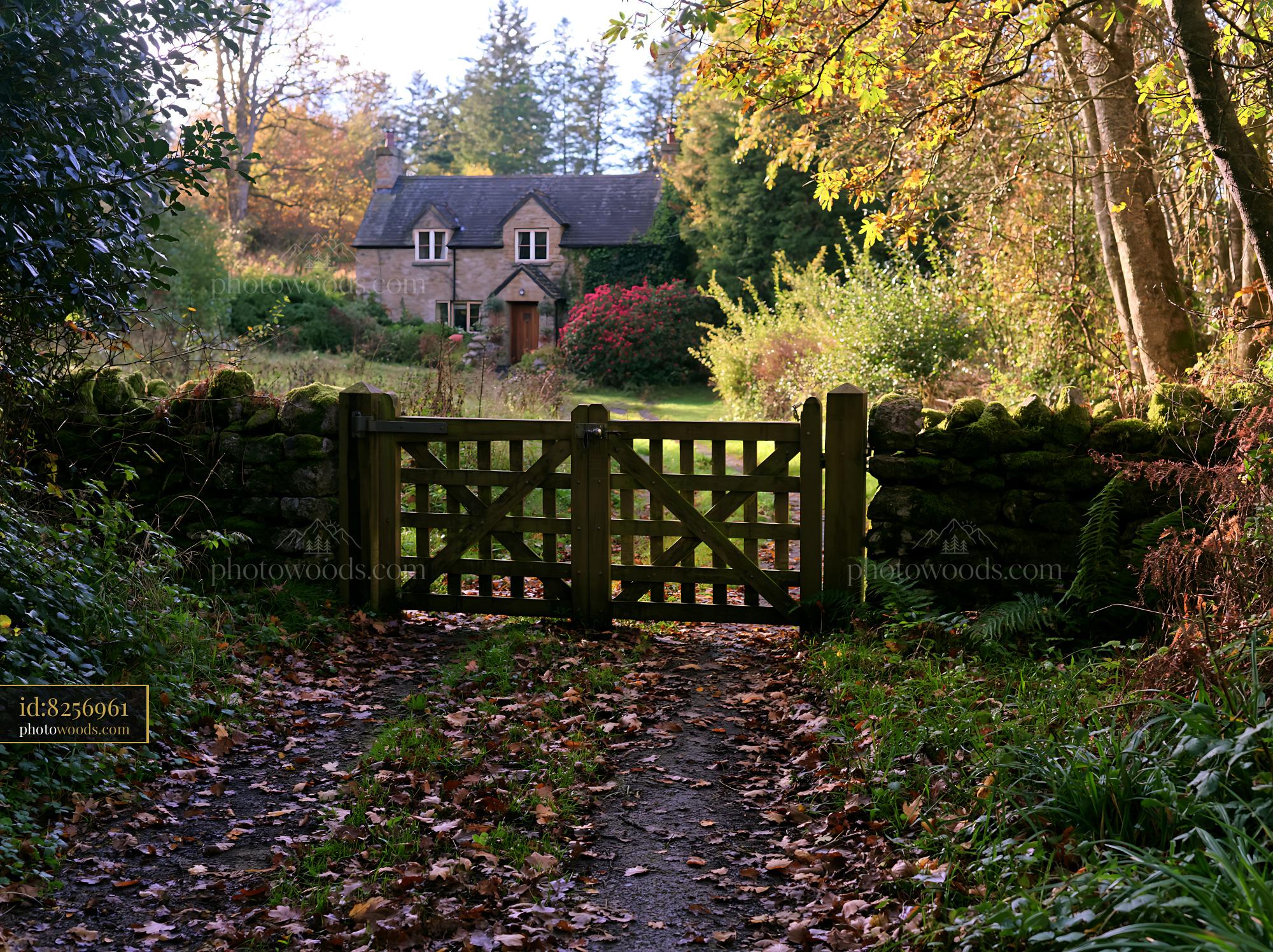 A rural cottage is seen through a wooden gate, surrounded by colorful trees and fallen leaves.