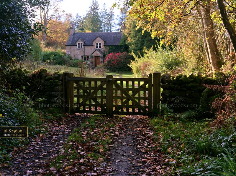 Rural cottage viewed through gate in autumn landscape