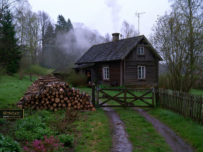Rural cottage with chimney smoke near a woodpile and garden