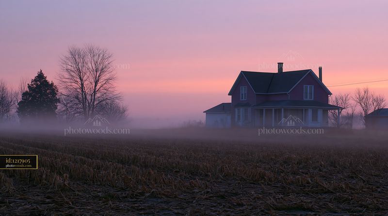 Rural farmhouse surrounded by fog at dawn with trees nearby