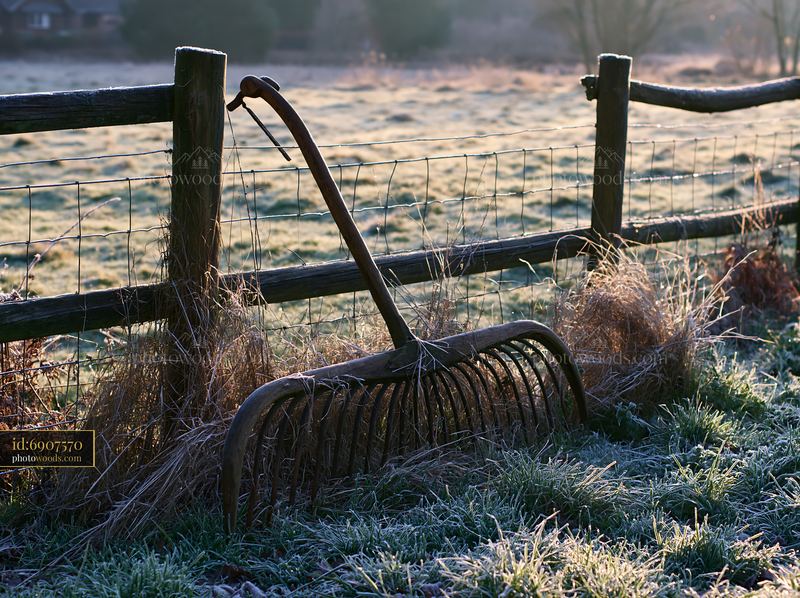 Farming tools on a meadow covered in frost at dawn