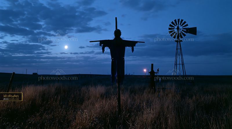 Scarecrow in a moonlit field with a windmill behind