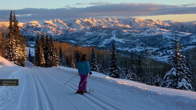 Skiing through golden sunlight on snowy peaks with trees