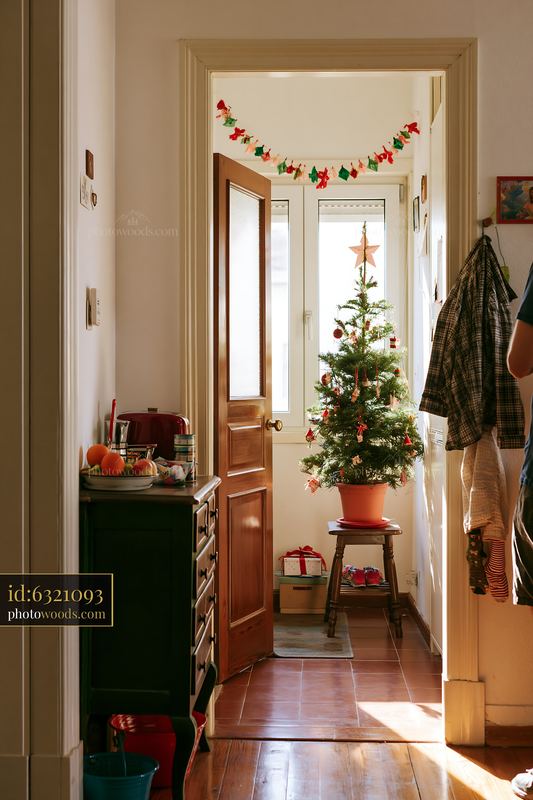 Small apartment decorated for holidays with Christmas tree visible