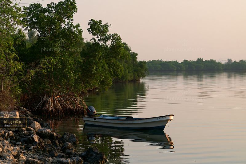 Sunset view of a boat near a coastline with protected marine habitat