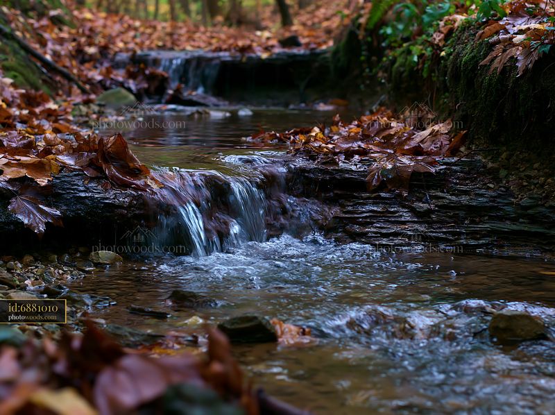 Forest brook with miniature waterfall in autumn landscape