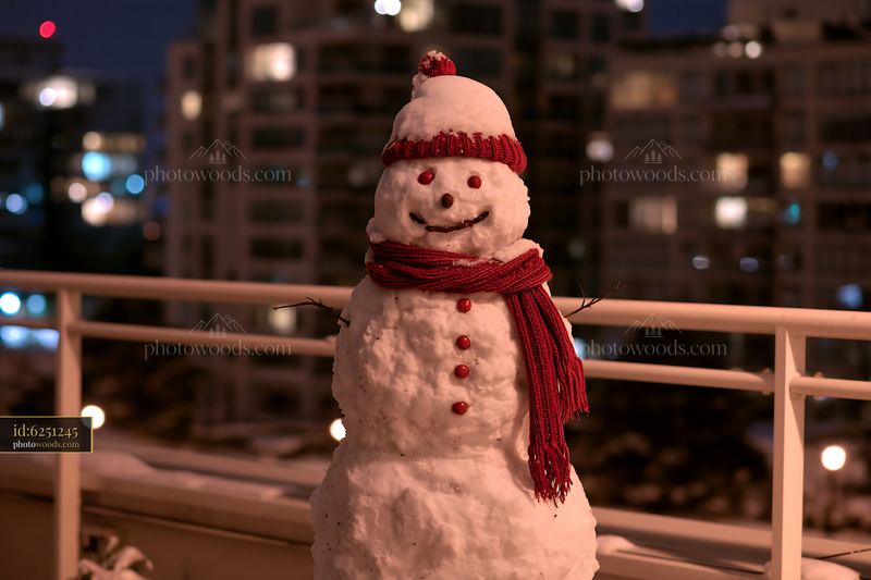Snowman standing on balcony during moonlit night