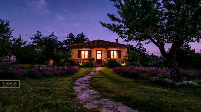 Holiday home under stars with garden path and trees