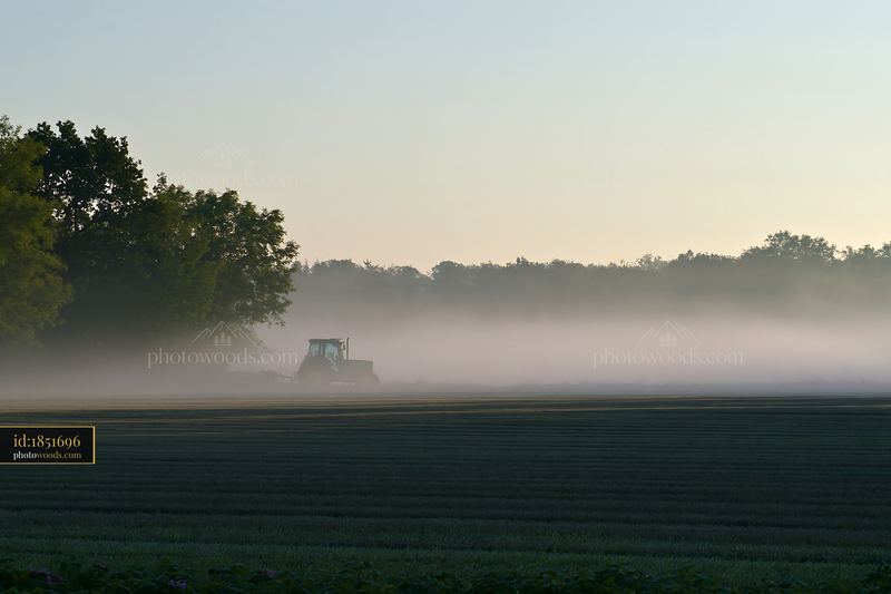 Fog drifting across meadow at dawn with tractor in background