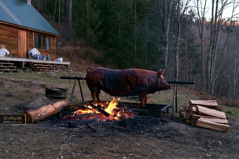 Pig roast with glowing charcoal embers near a cabin in the woods