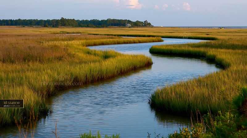 Coastline with protected marine habitat under clear sky