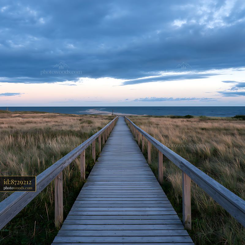 Wooden boardwalk leading through coastal meadow to ocean horizon
