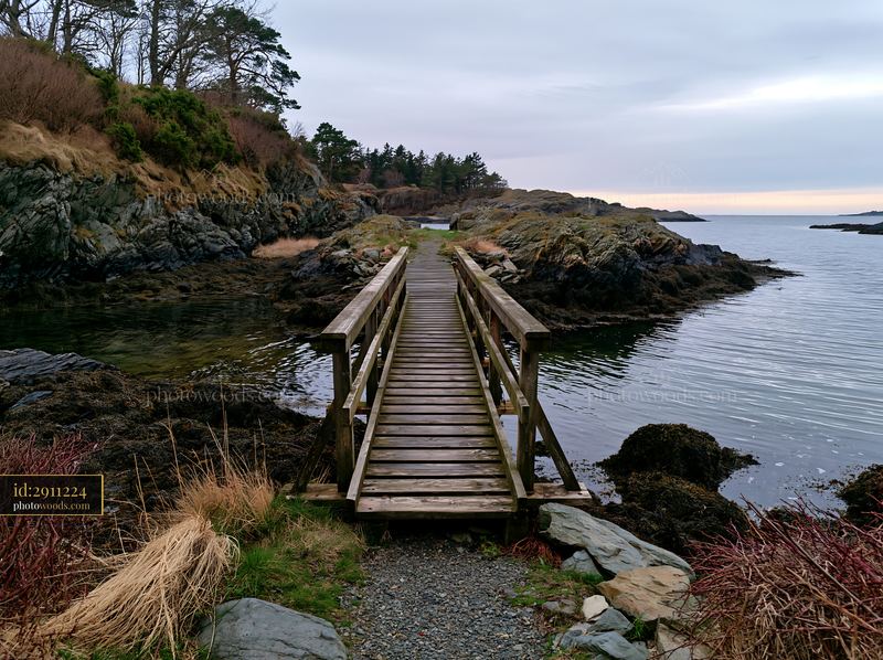 Coastline with exposed rocks and wooden bridge in a natural setting