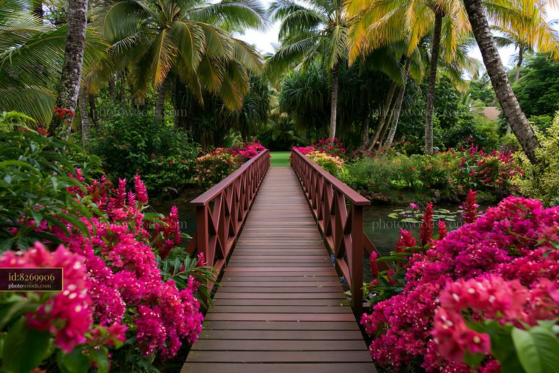 Island scene with flowers beneath palm trees and footbridge
