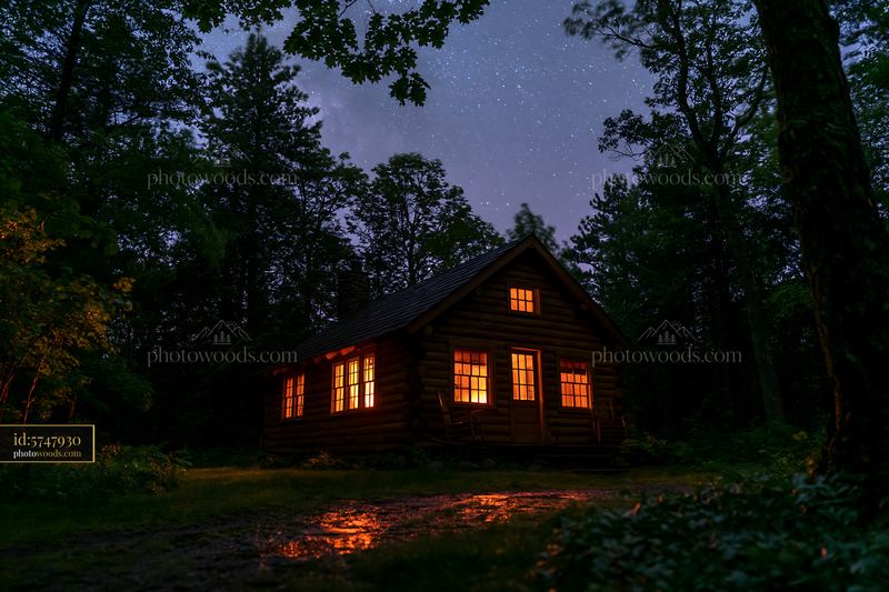 Forest cabin beneath stars in a wooded area at night