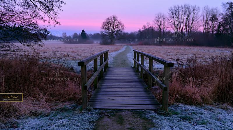 Meadow with a wooden footbridge during twilight hours
