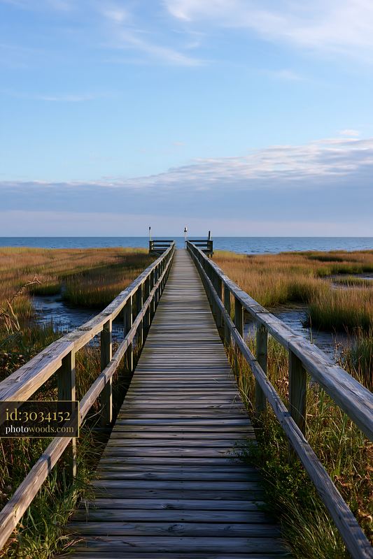 Coastline with salt marsh and wooden walkway leading to water