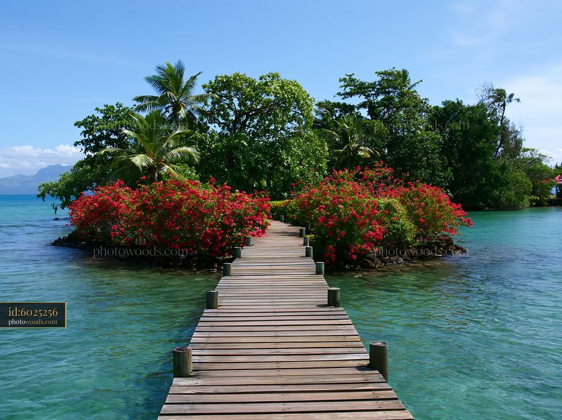 Tropical island with flowers and a wooden walkway