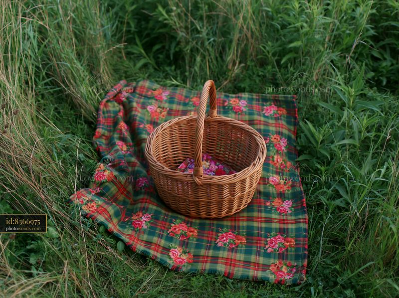 Meadow viewed from above showing a basket on a blanket