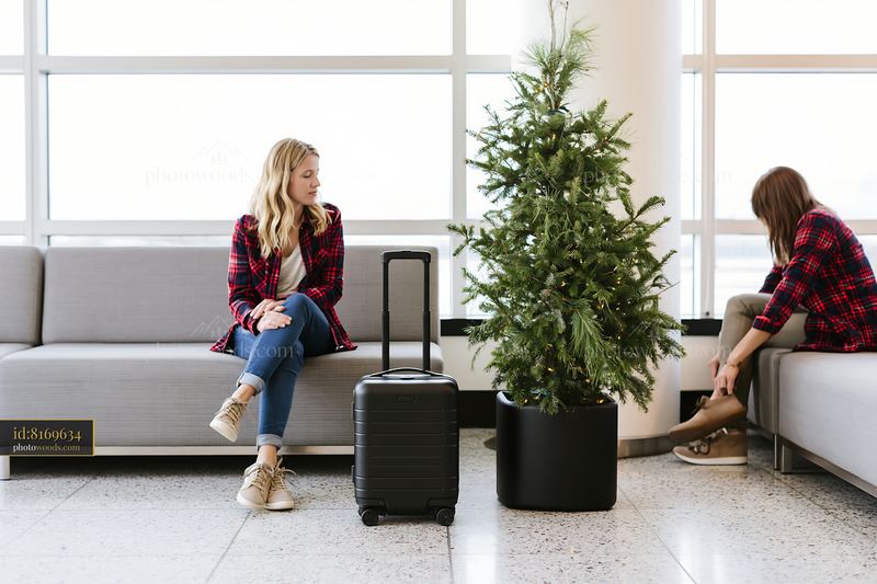 Holiday travel suitcase beside tree in airport setting