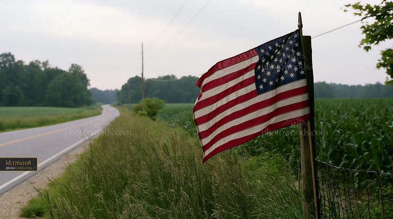 American flag displayed on a rural road near farmland