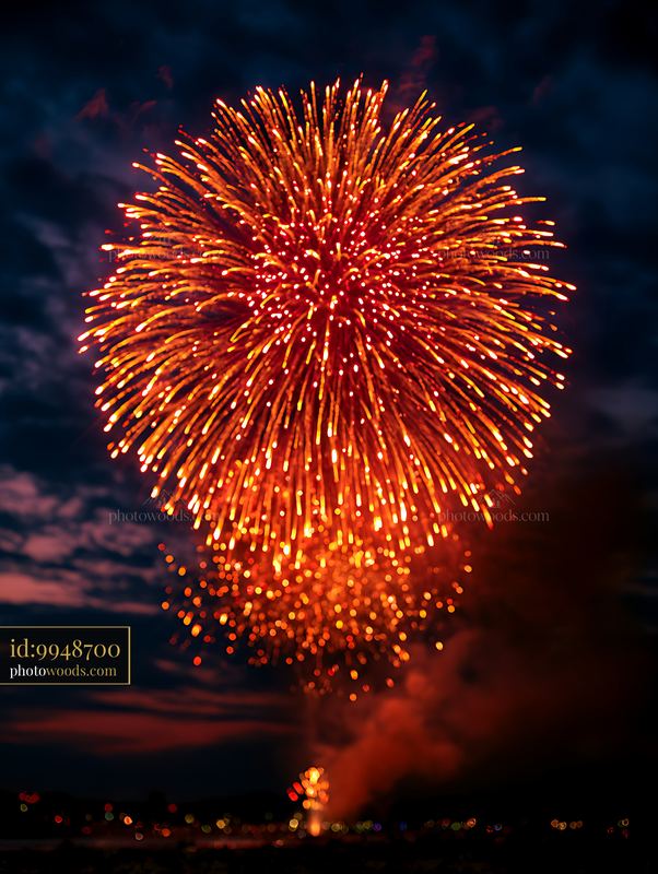 Colorful fireworks burst over a night sky