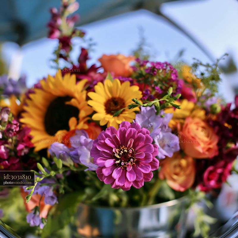 Mixed seasonal flowers displayed at a farmers market
