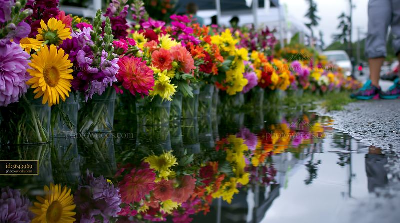 Mixed seasonal flowers displayed at farmers market