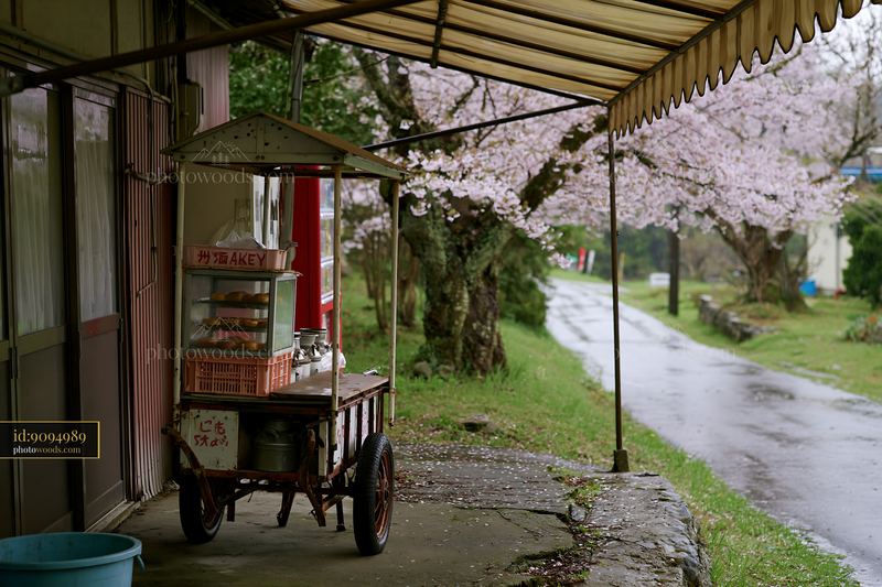 Cherry blossoms sway near a vendor cart on a rainy spring day