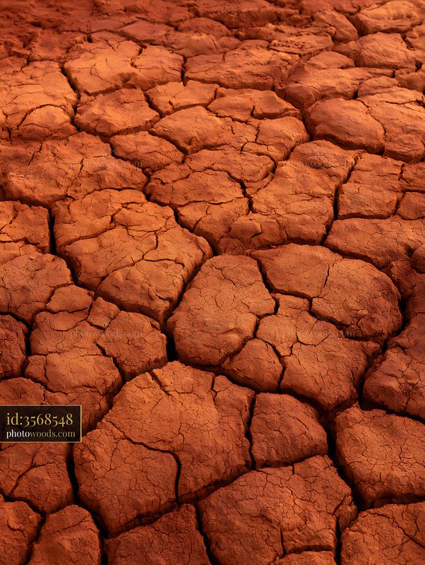 Cracked Dried Earth Surface in Warm Terracotta Tones