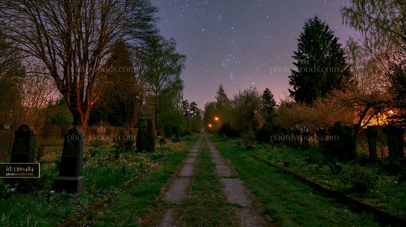 Spring flowers at soldiers' graves under stars in a quiet cemetery