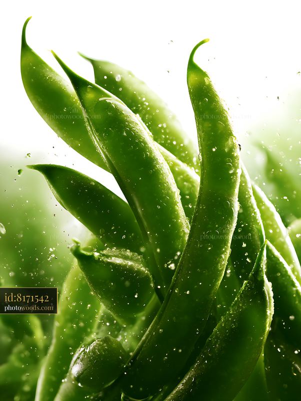 Fresh green peas with water droplets on a bright background